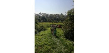 Plac&oacute;wka Wsparcia Dziennego &ldquo;Dla Rodziny&rdquo; 