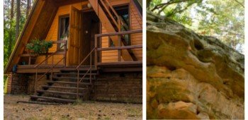 WAKACJE W SIELPI 2025